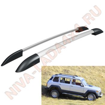 Багажник рейлинги НИВА 2131 АвтоПолимерСервис 0213-01 цвет серый