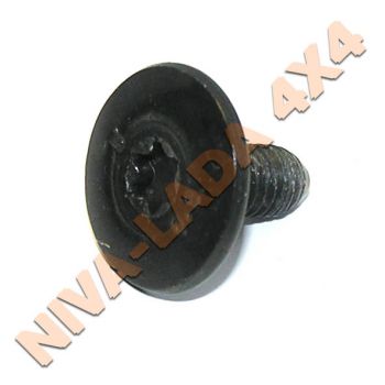 Винт М6х12 под Torx, France