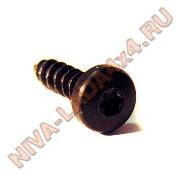 Саморез 4,9х20 под Torx T-20 (France)