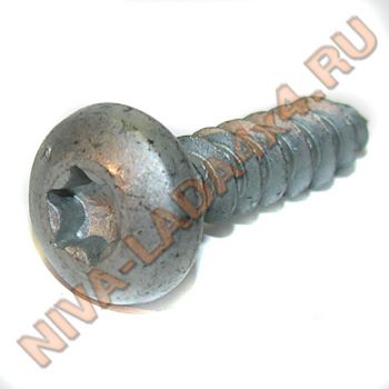 Саморез 5,9х25 под Torx T-30 (France) анодированный