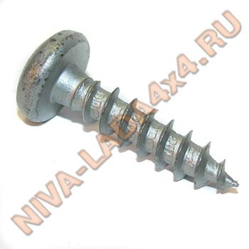 Саморез 5,9х25 под Torx T-30 (France) анодированный