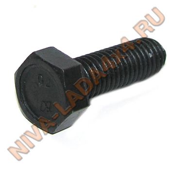 Болт М8х25 каленый БелЗан