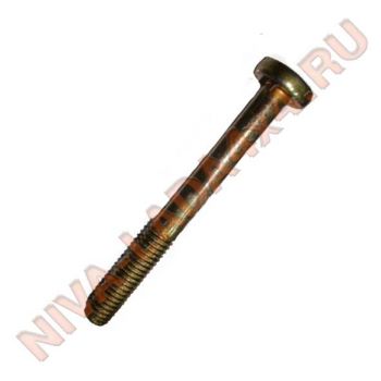 Винт М6х55 БелЗан