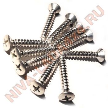 Саморез 4,9х31 головка полупотай анодированный (кт- 10шт.) 00001-0076809-0182