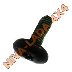 Винт М6х20 под Torx, France