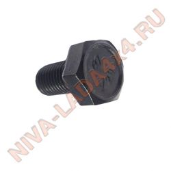 Болт М10х19х1,25 крепления ведомой шестерни (каленый) НИВА 2101-2403021 БелЗан