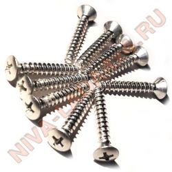 Саморез 4,9х31 головка полупотай анодированный (кт- 10шт.) 00001-0076809-0182